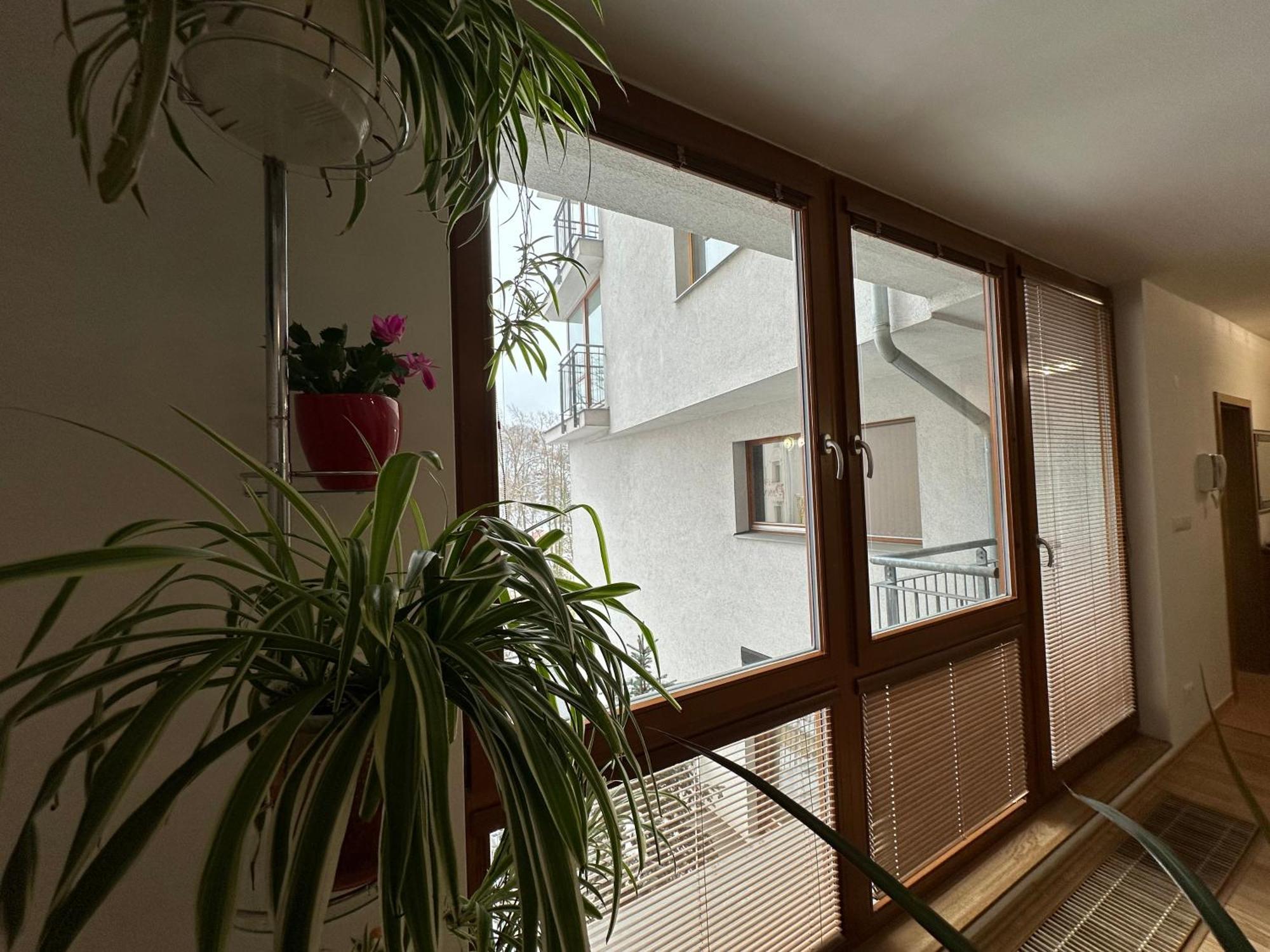 Апартаменти Apartman Na Vyhlidce Карлові Вари Екстер'єр фото